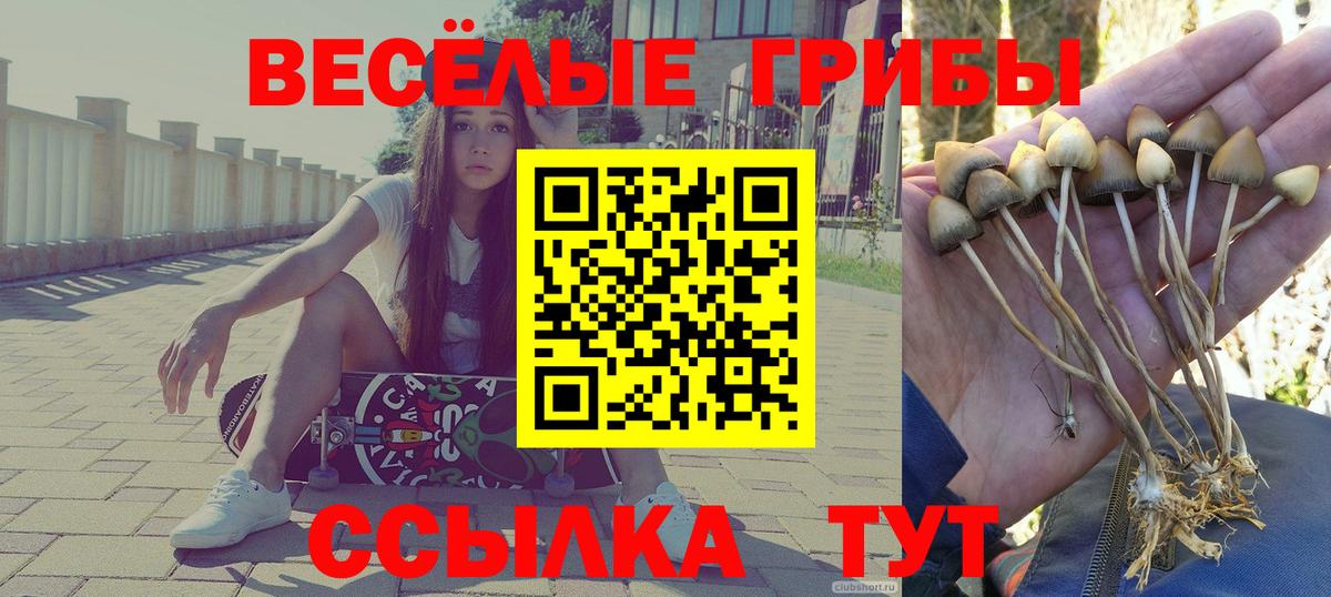 Обнинск  Псилоцибиновые грибы прущие грибы  Вход с VPN  Псилоцибиновые грибы мухоморы 