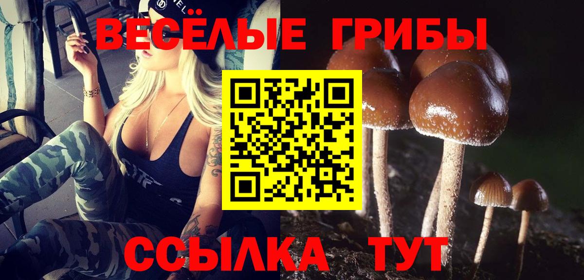 Галлюциногенные грибы Cubensis Обнинск